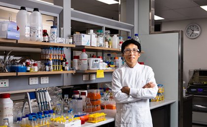 Professor Lianzhou Wang in the laboratory Professor Lianzhou Wang in the laboratory